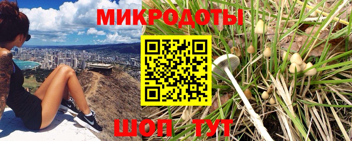Псилоцибиновые грибы Psilocybe  Вход с VPN  Галлюциногенные грибы ЛСД  Камень-на-Оби 