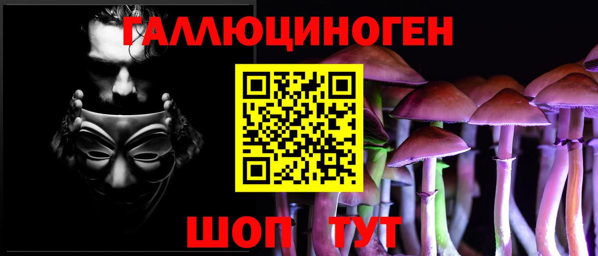 Галлюциногенные грибы Psilocybe Камень-на-Оби